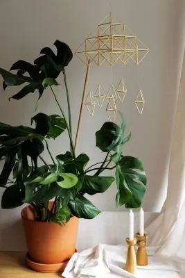 Набір для створення павука "Сади"