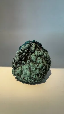 "Делікатес" бронза 1/6 2025