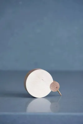 Дерев'яна фігурка пташки ківі