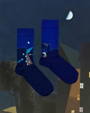 Шкарпетки «Нічне місто»