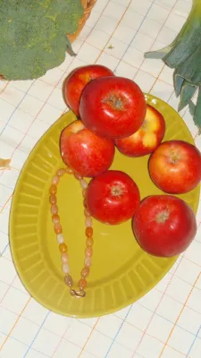 Намисто різнобарвне