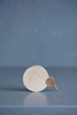 Дерев'яна фігурка пташки ківі