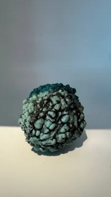 "Делікатес" бронза 1/6 2025