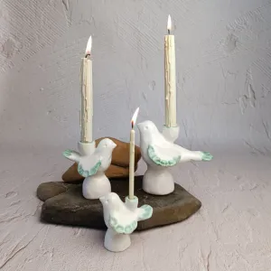 Cвічник "Пташка" біла, new S