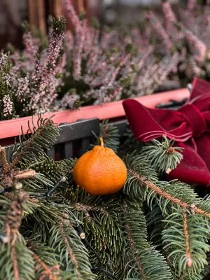 Мандаринка