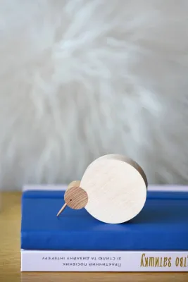 Дерев'яна фігурка пташки ківі