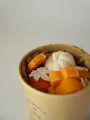 Ароматичний віск "Гарбузики"