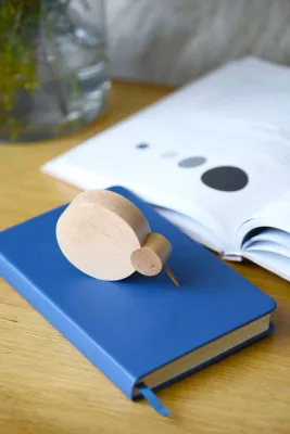 Дерев'яна фігурка пташки ківі