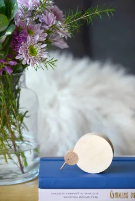 Дерев'яна фігурка пташки ківі