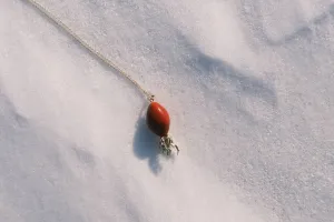 Підвіска "Шипшина"