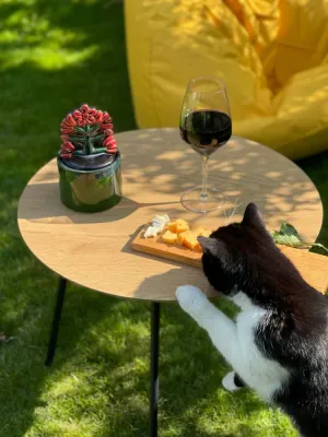 Цукерниця "Дерево життя"