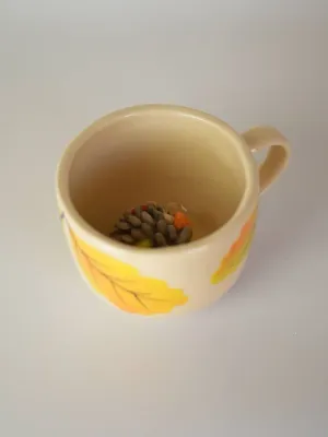 Горнятко "Осіння доставка"