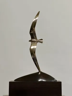 Василь Одрехівський "Сокіл" 40х24х8 см, бронза, 2025