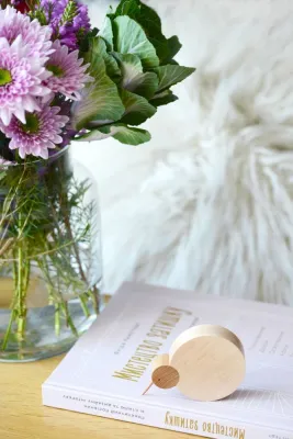 Дерев'яна фігурка пташки ківі